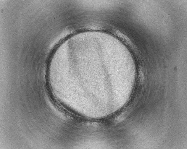 X0000088220730200706051322