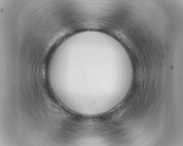 X0000088220731200706051322