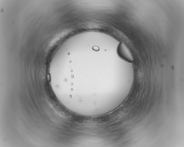 X0000088220732200706051322