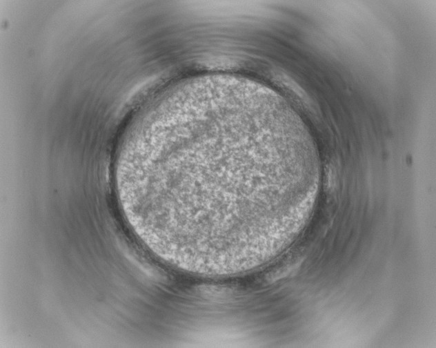 X0000088220733200706051322