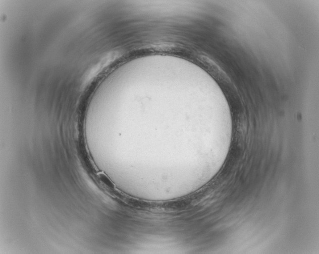 X0000088220734200706051322