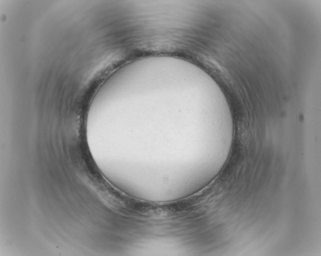 X0000088220735200706051322