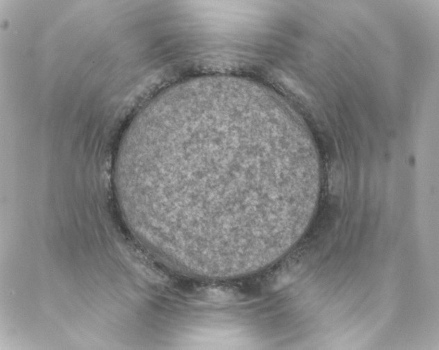 X0000088220737200706051322