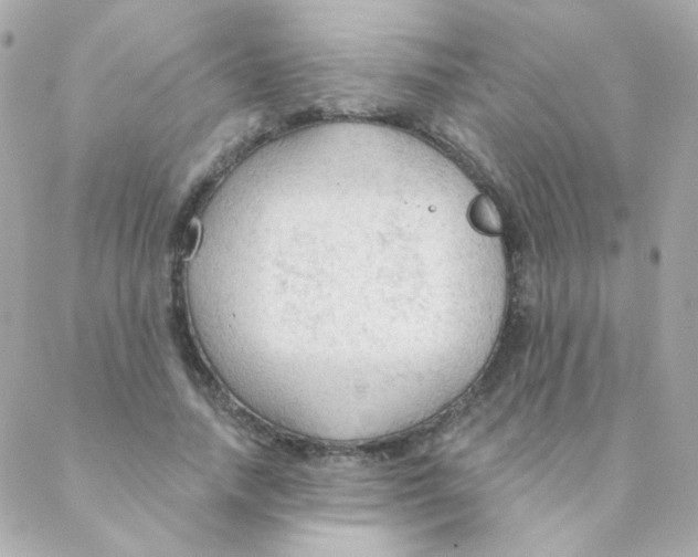 X0000088220738200706051322