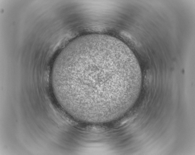 X0000088220739200706051322