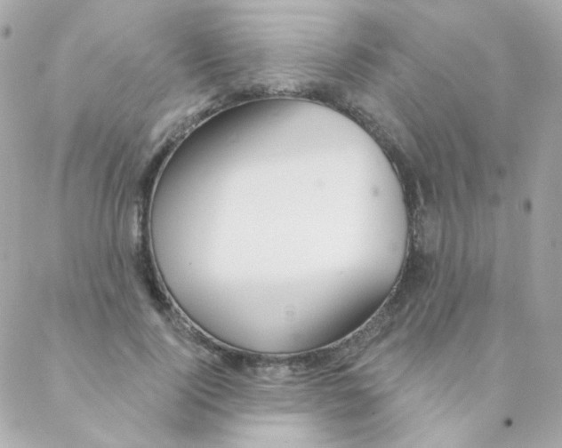 X0000088220740200706051322