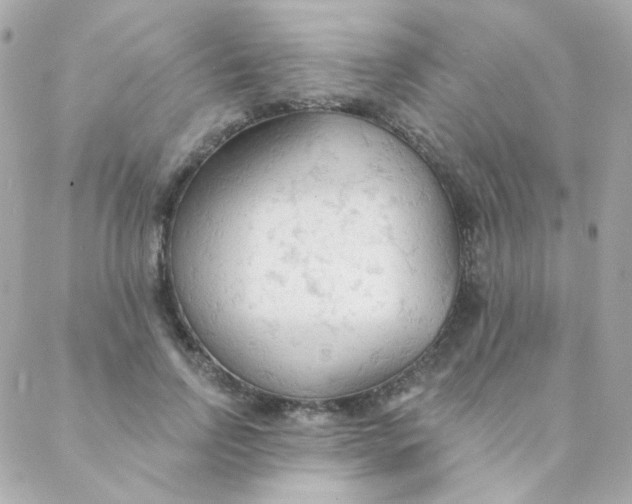 X0000088220742200706051322