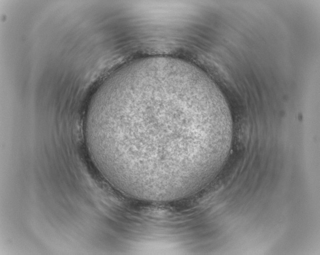 X0000088220743200706051322