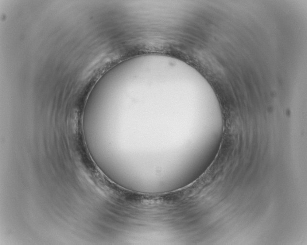 X0000088220744200706051322