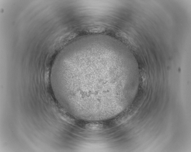 X0000088220745200706051322