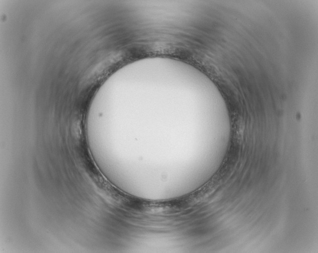 X0000088220746200706051322