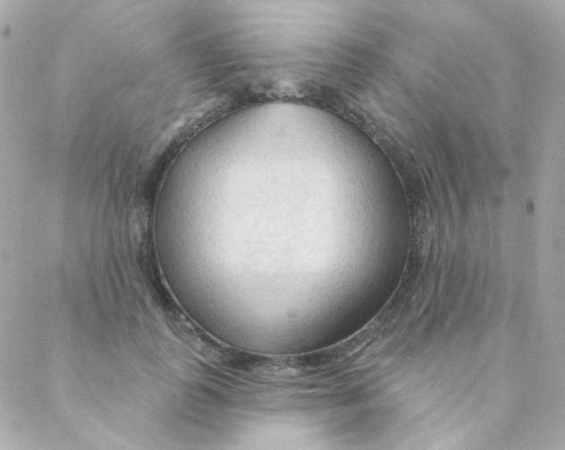 X0000088220747200706051322