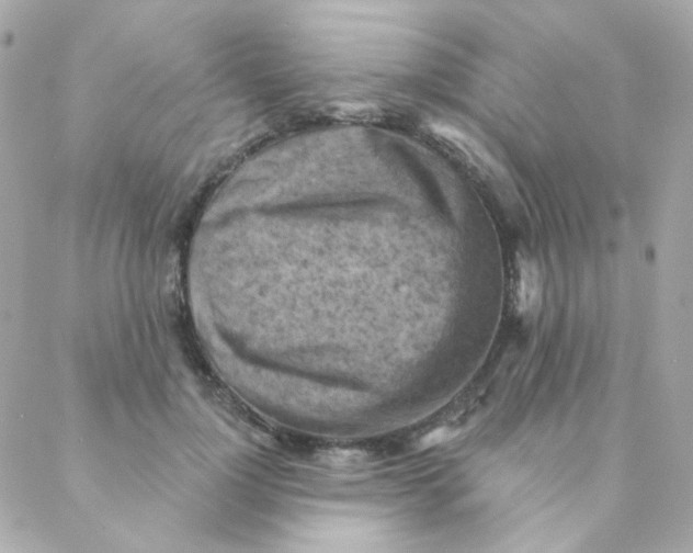 X0000088220748200706051322