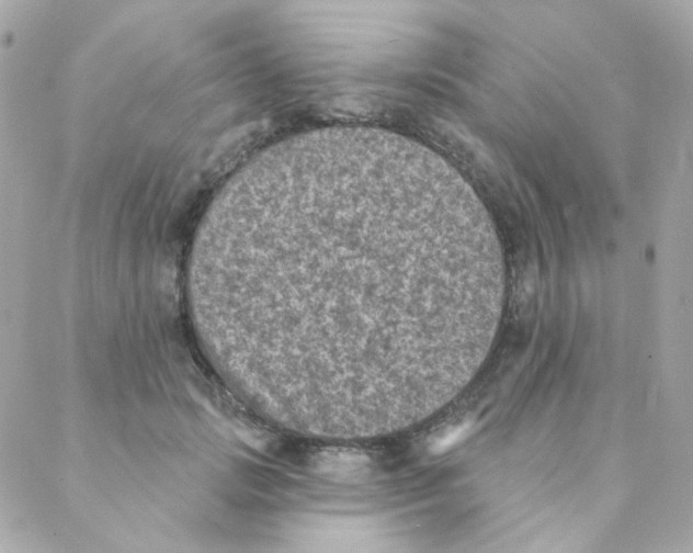 X0000088220749200706051322