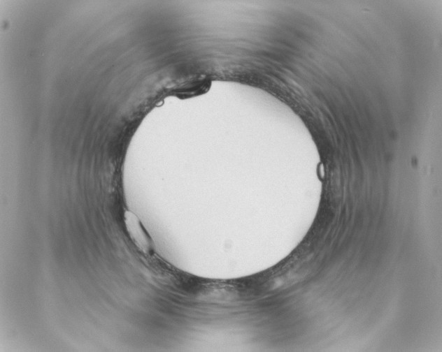 X0000088220750200706051322