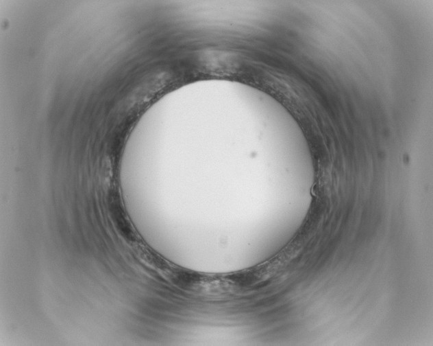 X0000088220752200706051322