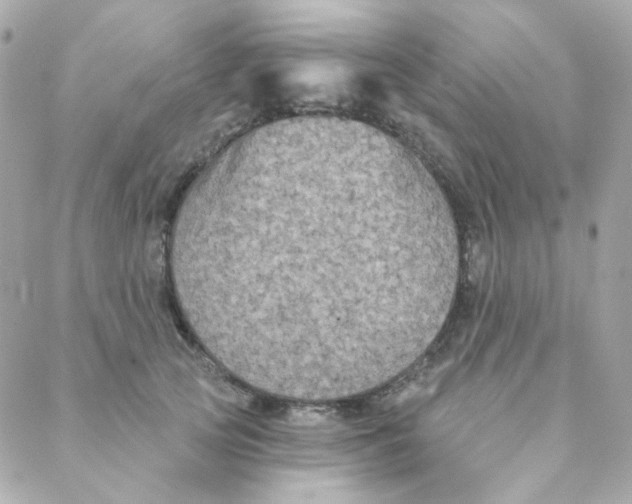 X0000088220753200706051322