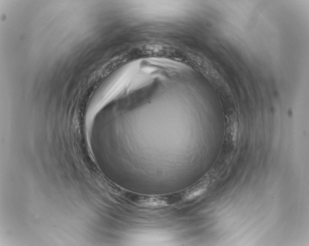 X0000088220754200706051322