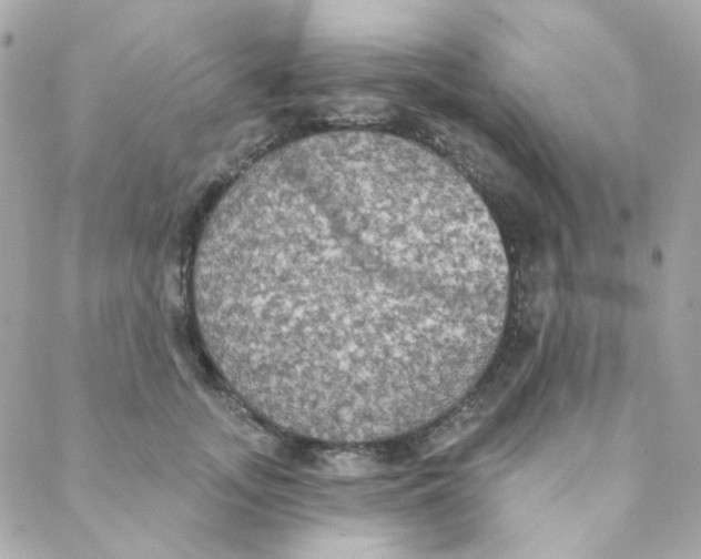 X0000088220755200706051322