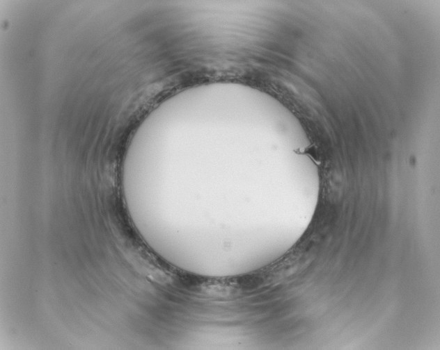 X0000088220756200706051322