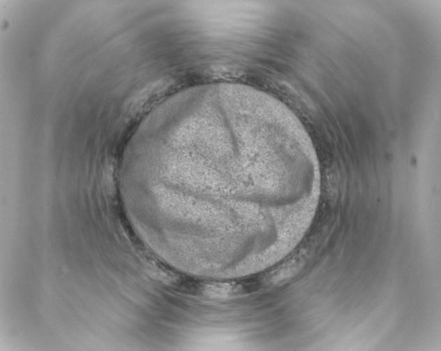 X0000088220757200706051322