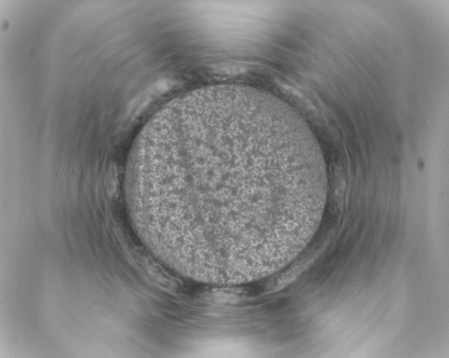 X0000088220758200706051322