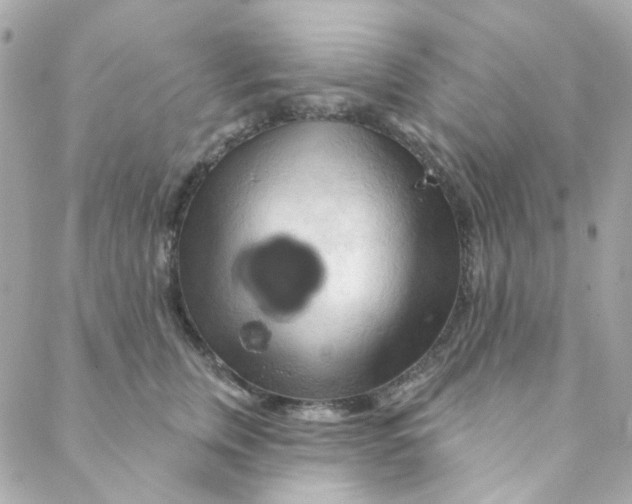 X0000088220759200706051322