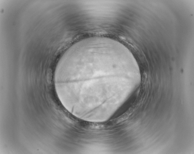 X0000088220760200706051322