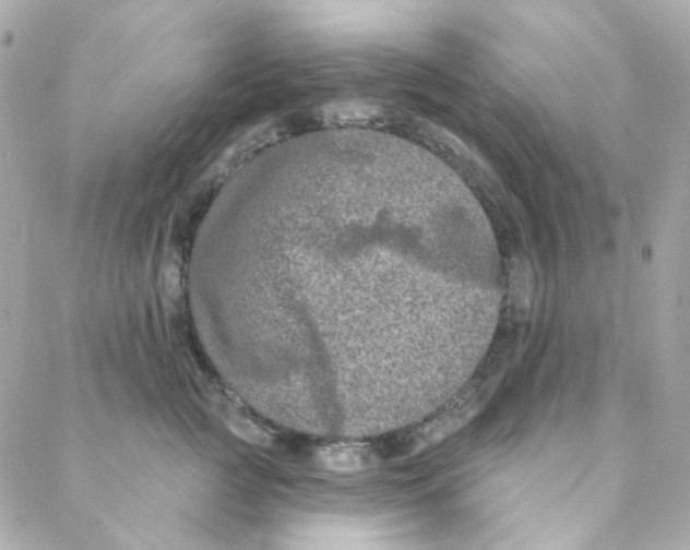 X0000088220761200706051322