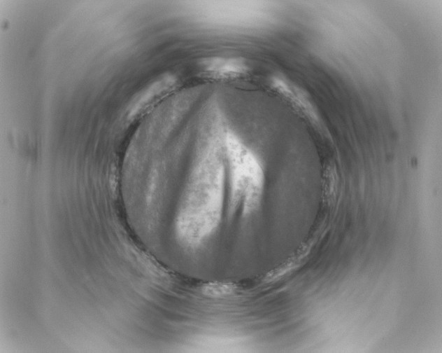 X0000088220762200706051322