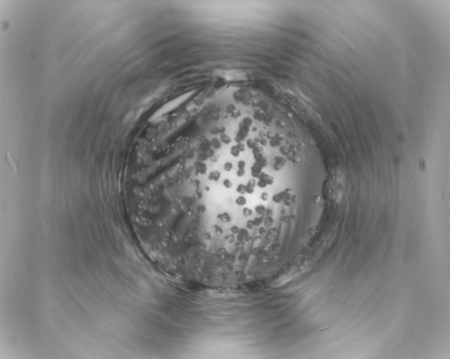 X0000088220763200706051322