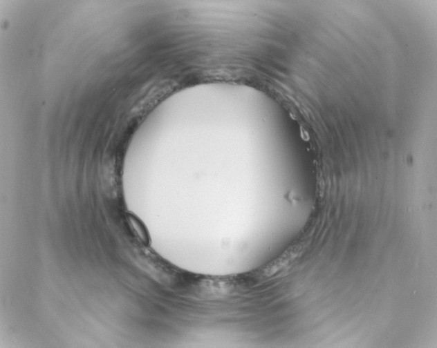 X0000088220764200706051322