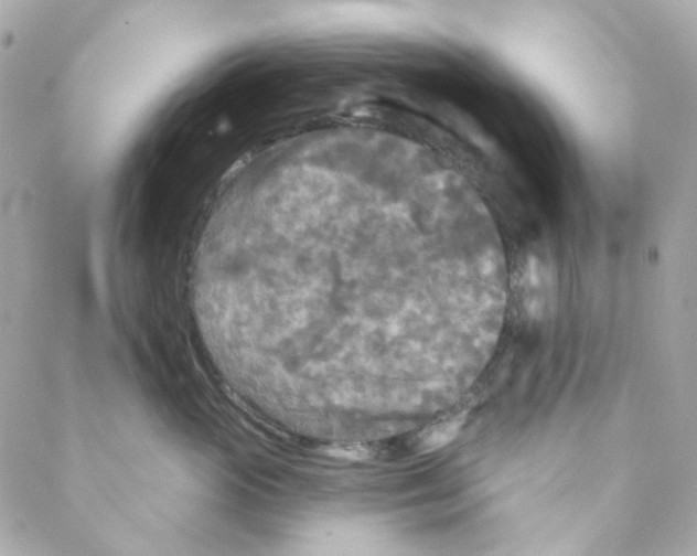 X0000088220765200706051322