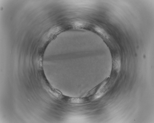 X0000088220766200706051322