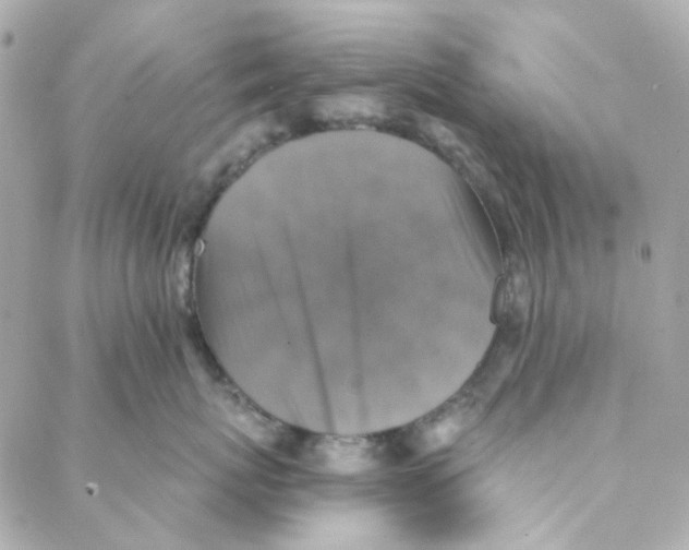 X0000088220767200706051322