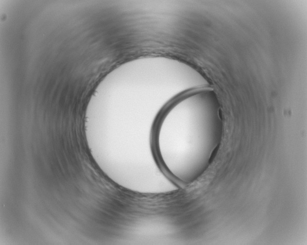 X0000088220768200706051322