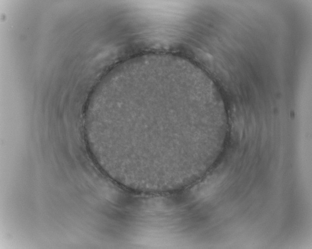 X0000088220769200706051322