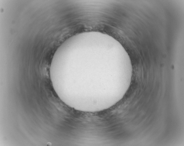 X0000088220770200706051322