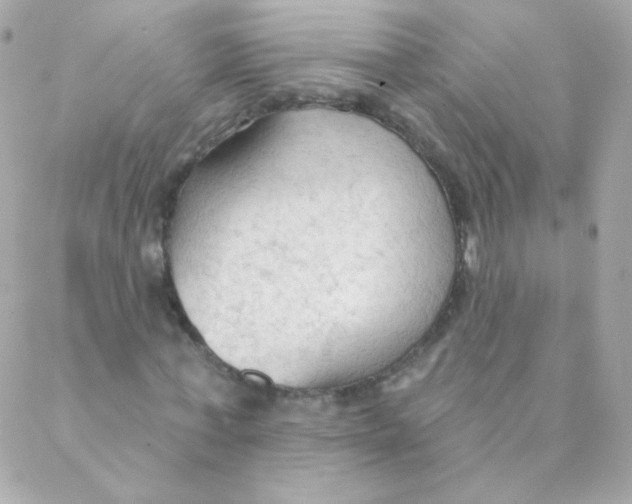 X0000088220771200706051321