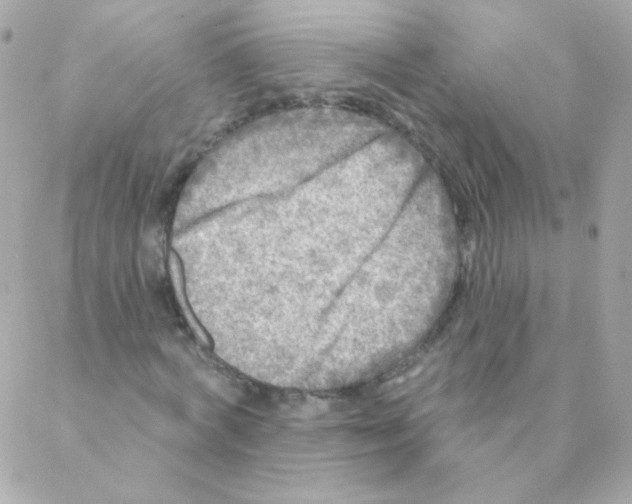 X0000088220772200706051321