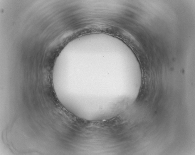 X0000088220773200706051321