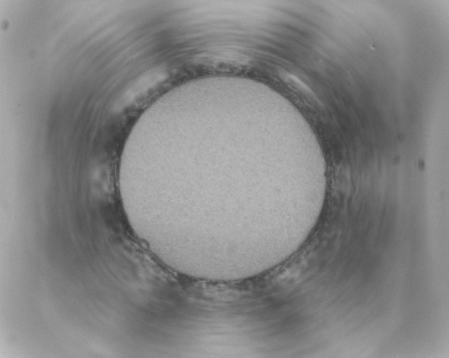 X0000088220774200706051321