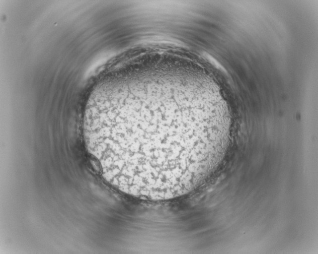 X0000088220775200706051321