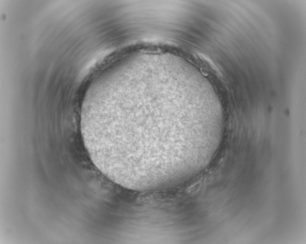 X0000088220776200706051321