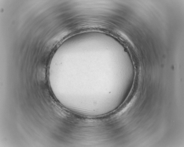 X0000088220777200706051321