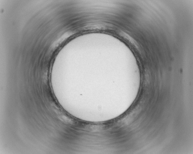 X0000088220778200706051321