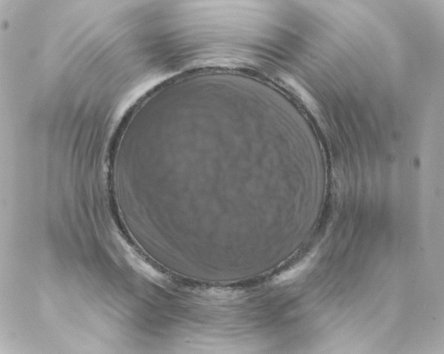 X0000088220779200706051321