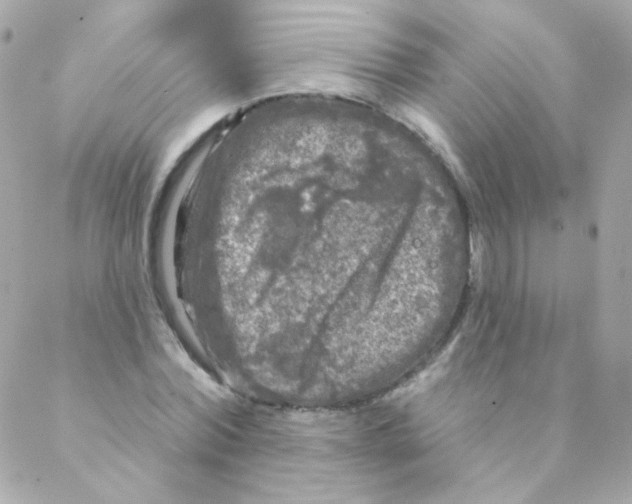 X0000088220780200706051321