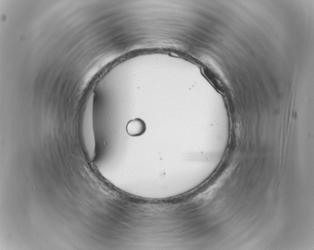 X0000088220781200706051321