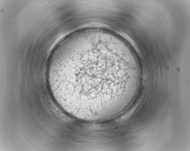 X0000088220783200706051321